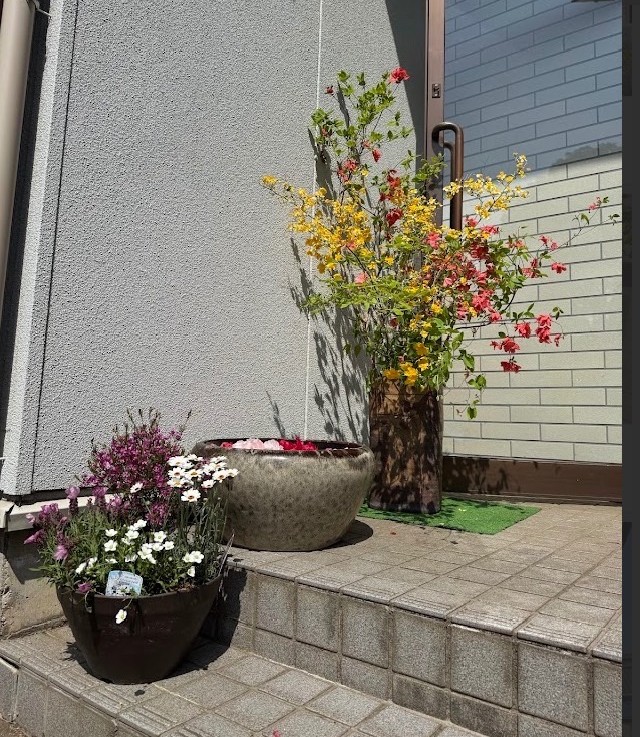 “なかんせプラッと広場”ついにオープン‼️